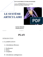 SYSTEME ARTICULAIRE 2