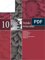 Histologia Basica Texto y Atlas Junqueira Carneiro. Tejido muscular. Capítulo 10