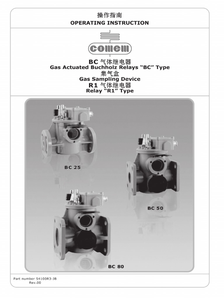 Buchholz Relay Manual PDF