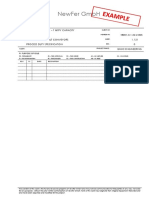 Undersize Collecting Conveyor Example Technical Specification R00