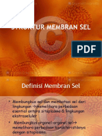 Struktur Membrane Sel