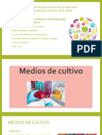 Ensayo Medios de Cultivo LISTO