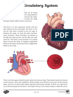 Au t2 e 2123 Circulatory System Information Report Writing Sample