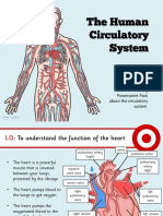 T2 S 427 Year 6 Human Body Circulatory System Lesson Teaching Powerpoint - Ver - 4
