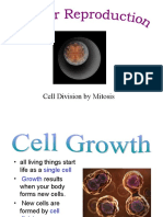 Cell Cylce Powerpoint 2