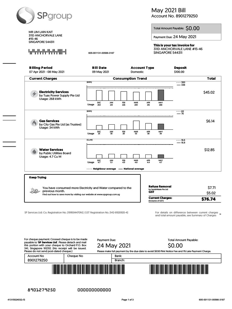 SP Bill PDF Payments Financial Services
