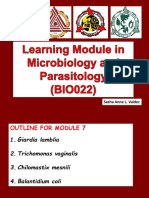 Module 7 - Protozoans (Flagellates and Ciliates)