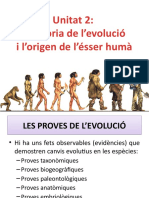 2.3. Les Proves de Levolució