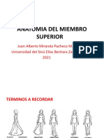 Anatomia Del Miembro Superior (Autoguardado)