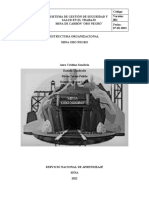 Estructua Organizacional