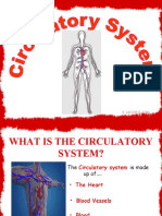 Circulatory System