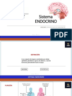 Sistema Endocrino - Tema 8