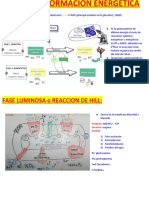 Biotransformacion de Energia