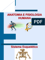 Anatomia e Fisiologia do Sistema Esquelético
