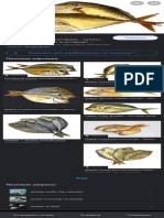 Вомер Рыба - Поиск в Google