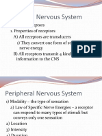 Peripheral Nervous System