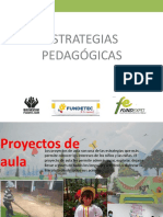 PRESENTACION DE ESTRATEGIAS