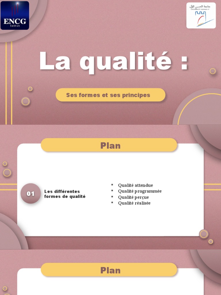 Comprendre les formes et principes de qualité | PDF | Management de la ...