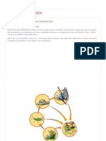 BIOLOGIA2022A - 1.2 Níveis Tróficos Nos Ecossistemas