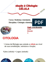 MedVet Citohistologia