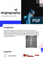 Abdominal Angiography