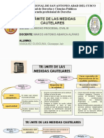 Trámite de Las Medidas Cautelares - Derecho Procesal Civil Iii