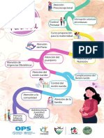 Materno Perinatal Infografía 08162022