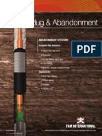 Plug Abandonment