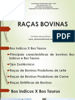 Raças Bovinas