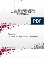 Explicar El Concepto Derecho de Acción