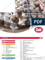 English - On Farm Post Mortem Guide For Broilers