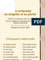 01 Noms Composes Singulier Pluriel