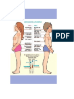 Cambios Fisicos en La Pubertad