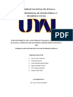 Avance Del Proyecto de Inversión Pública