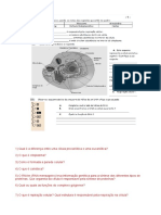 Revisão Celulas