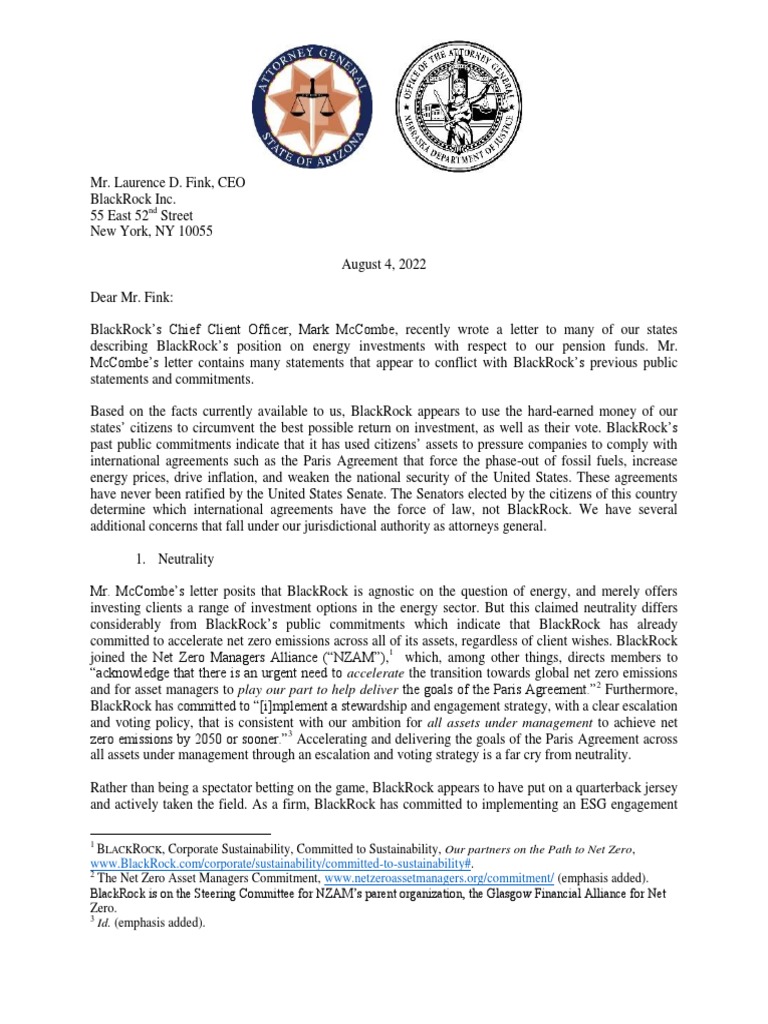 BlackRock Letter | PDF | Black Rock | Low Carbon Economy