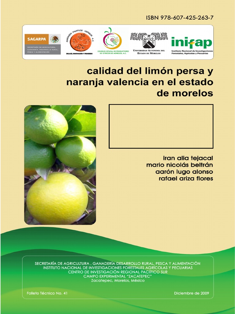 Fundación Produce Morelos, A.C PDF Color Rojo