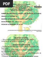 Download Proyecto de Aprendizaje 2 y 5 grado el maravilloso mundo de las plantas by Sandino Ramirez SN59292381 doc pdf