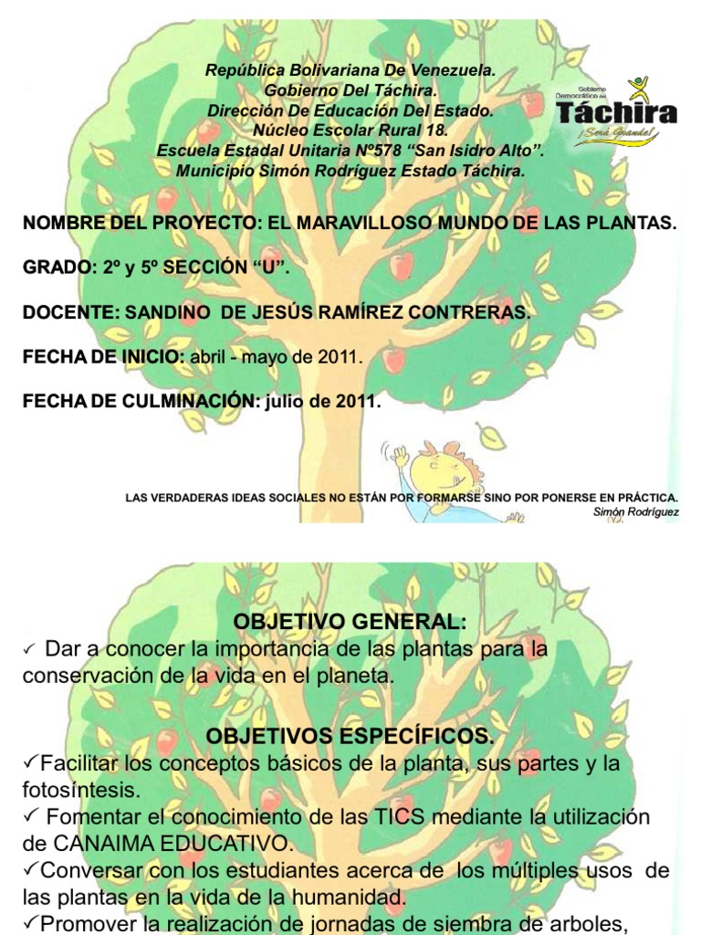 Proyecto de Aprendizaje 2º y 5º Grado El Maravilloso Mundo de Las Plantas |  PDF | Sustracción | Conocimiento