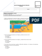 Evaluación Diagnóstica Ciencias Naturales