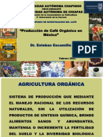 Cafe Organico Ponencia Univ Chiapas Caficultura 2022