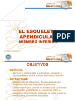 HUESOS DEL MIEMBRO INFERIOR MED - Modo de Compatibilidad