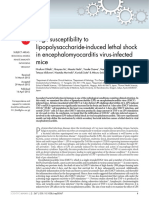 High susceptibility to lethal shock in EMCV-infected mice