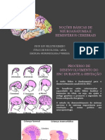 AULA 02 - Neuroanatomia e Hemiferios Cerebrais