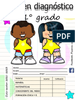 Diagnóstico 1° grado materias primaria examen inicial