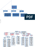 Redes Conceptuales para Final de Salud Pública...