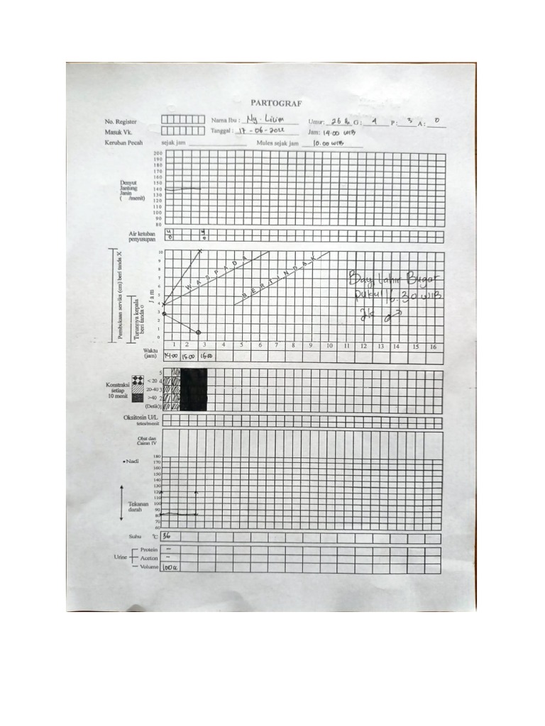 Patograf | PDF