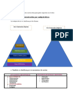 Toxi - REsultados - Practica 1