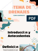 Sistema de Drenajes