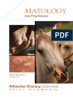 Dermatology For The Equine Practitioner